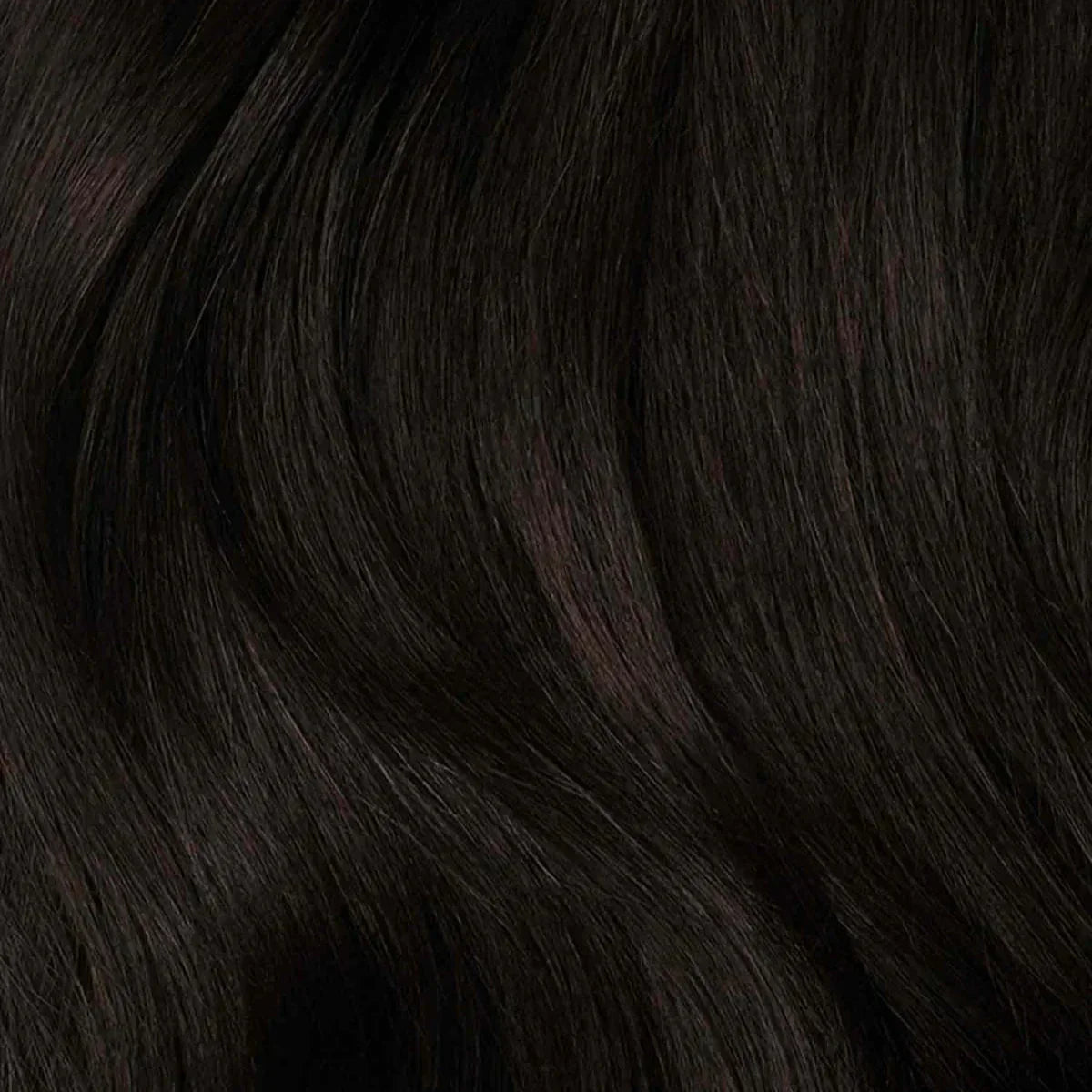 Receding Hairline - Clipfree Band