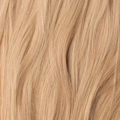 Receding Hairline - Clipfree Band